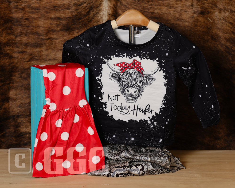 Long Sleeve Flare Pant Sets 2-3Y