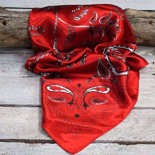 Red & Black Paisley Wild Rag/Scarf