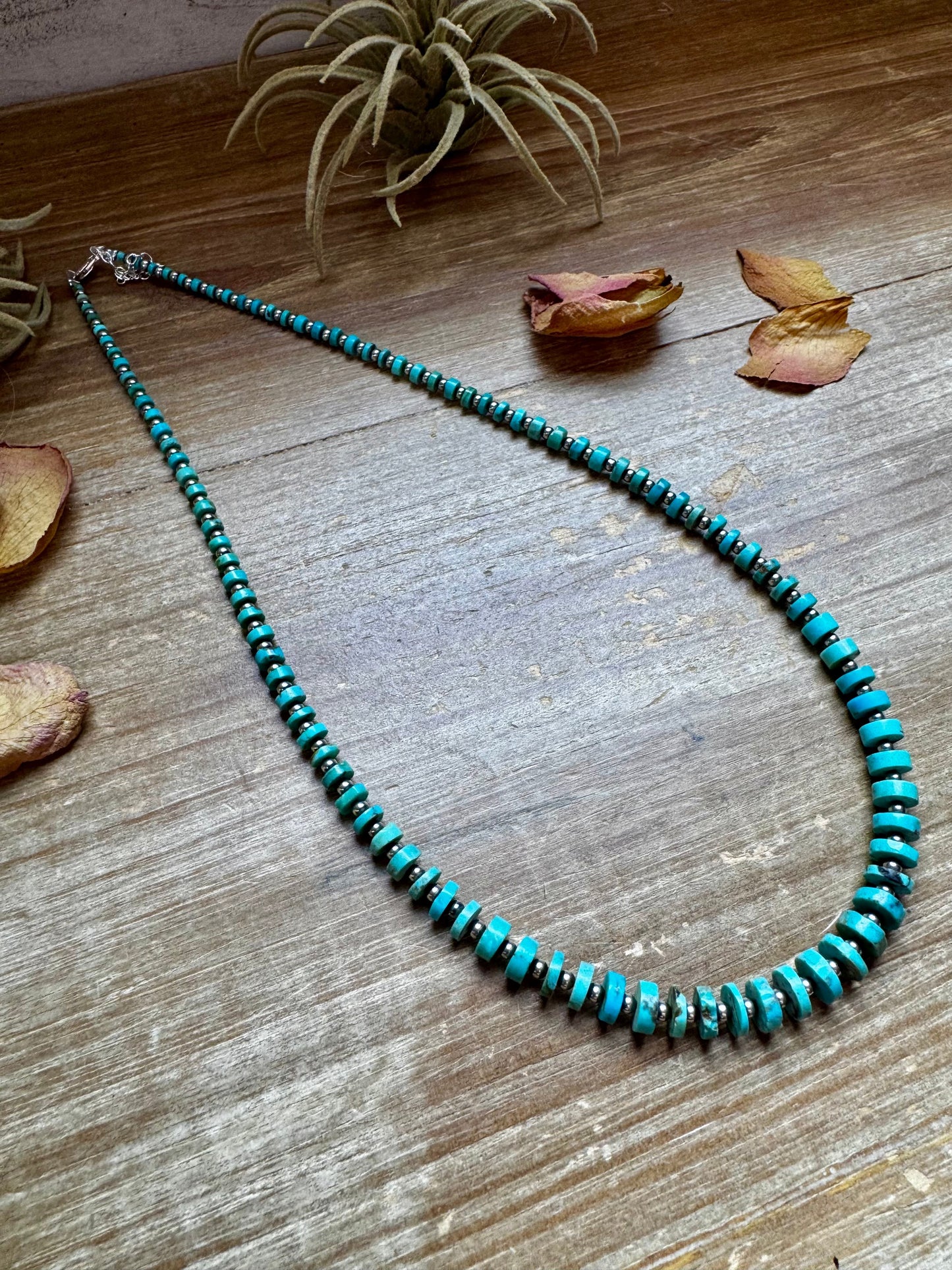 20.5-Inch Graduated Turquoise Disk Necklace with Sterling Pearls